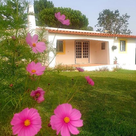 Sondela Self Catering Villa Сао Мартино до Порто Екстериор снимка
