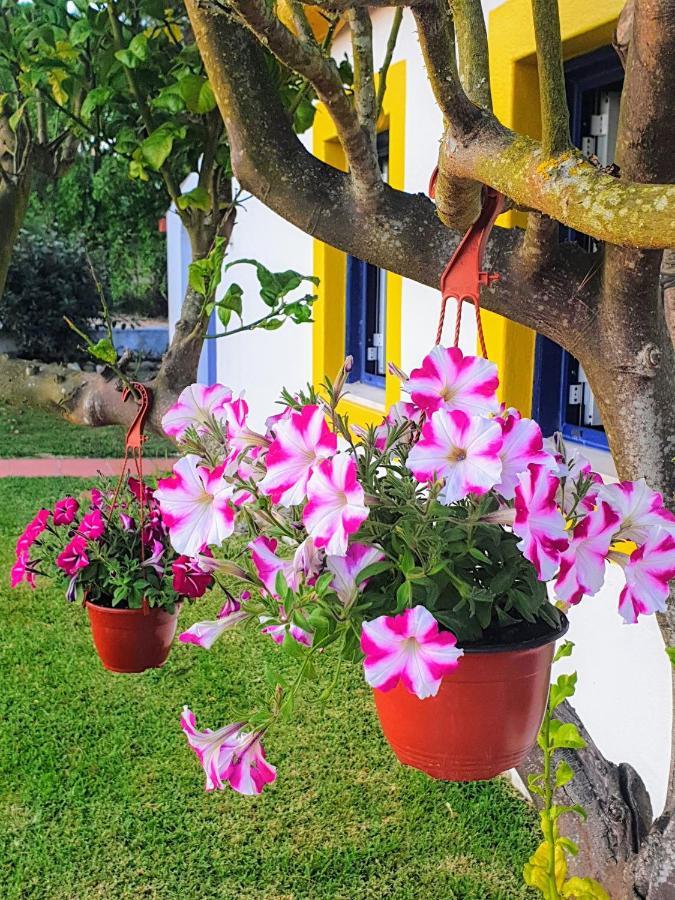 Sondela Self Catering Villa Сао Мартино до Порто Екстериор снимка