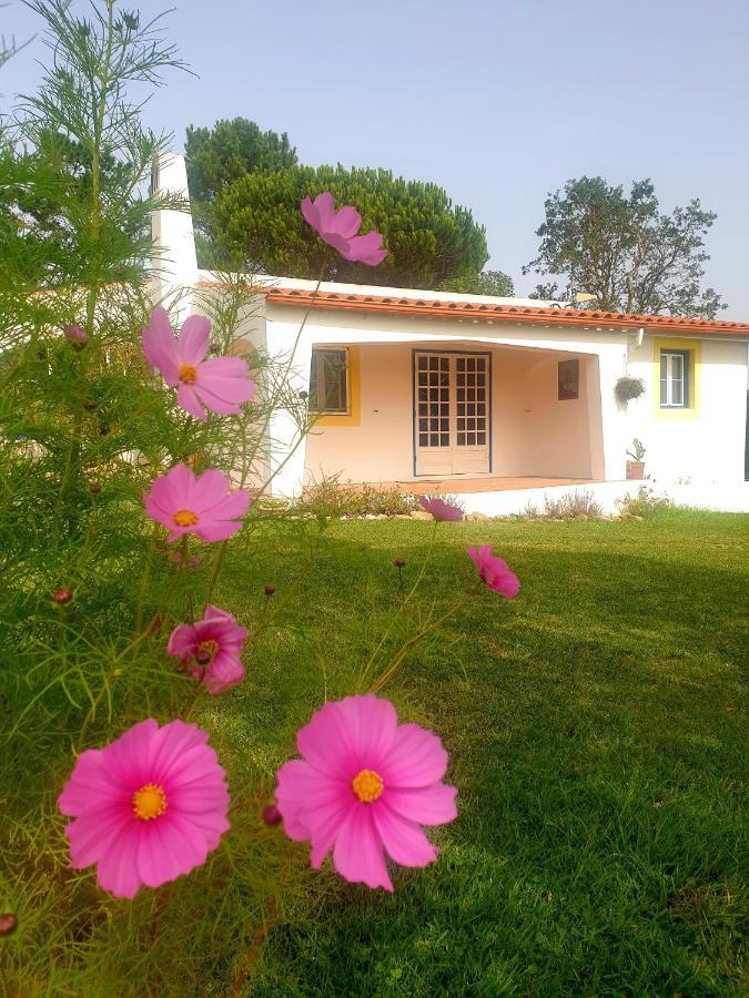 Sondela Self Catering Villa Сао Мартино до Порто Екстериор снимка