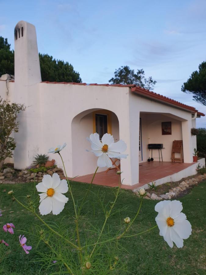 Sondela Self Catering Villa Сао Мартино до Порто Екстериор снимка