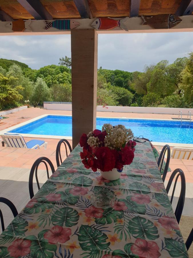 Sondela Self Catering Villa Сао Мартино до Порто Екстериор снимка