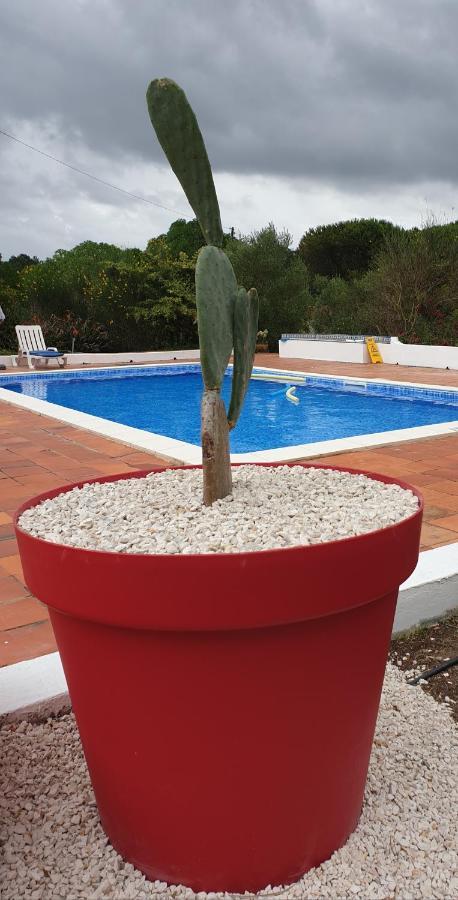 Sondela Self Catering Villa Сао Мартино до Порто Екстериор снимка